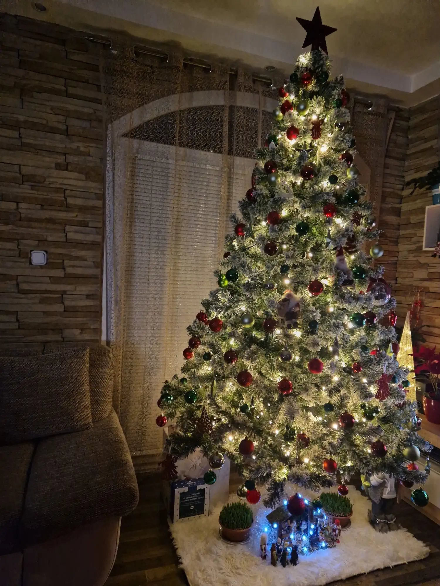 Božićna drvca i jelke 2024 foto čitatelja (22)