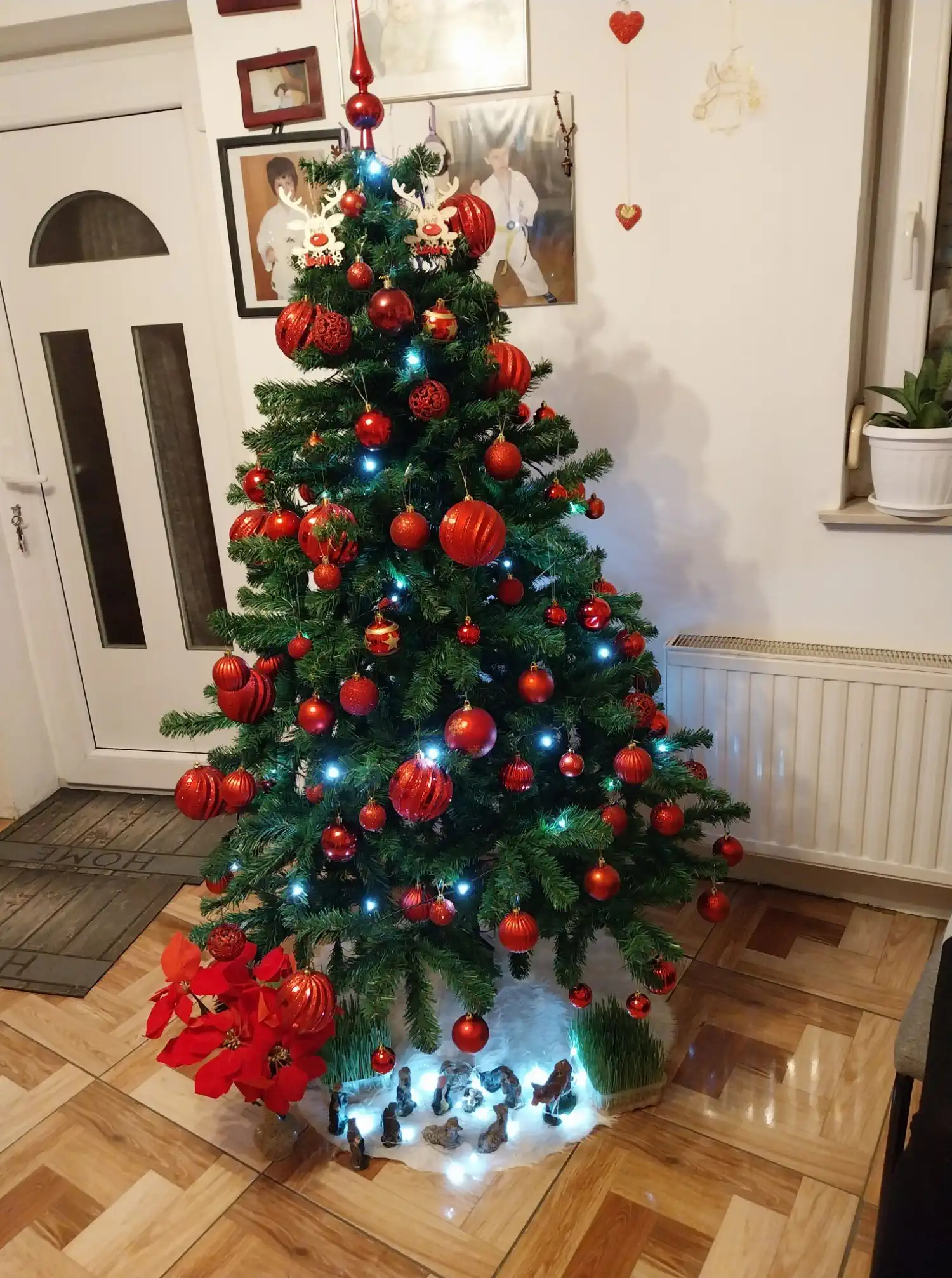 Božićna drvca i jelke 2024 foto čitatelja (29)