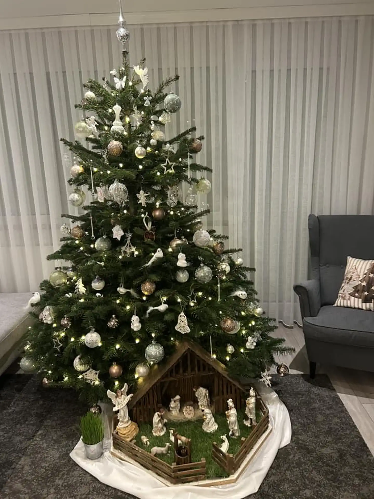 Božićna drvca i jelke 2024 foto čitatelja (3)