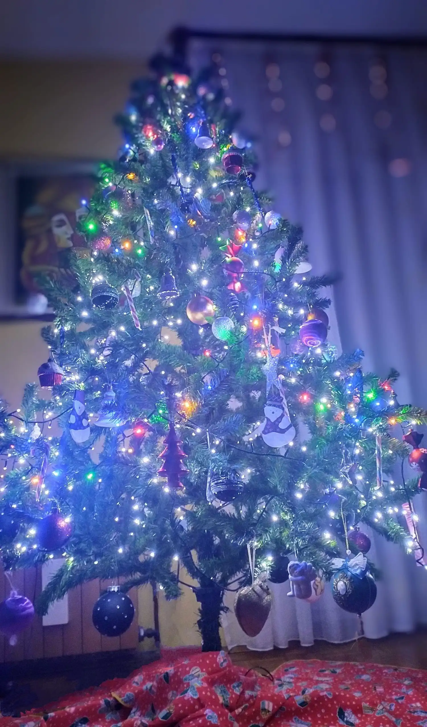 Božićna drvca i jelke 2024 foto čitatelja (30)