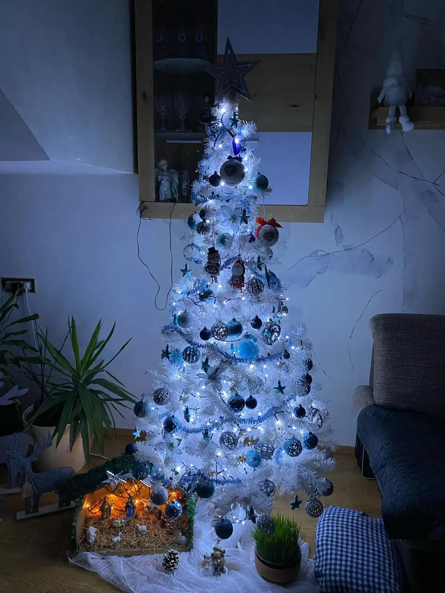 Božićna drvca i jelke 2024 foto čitatelja (36)