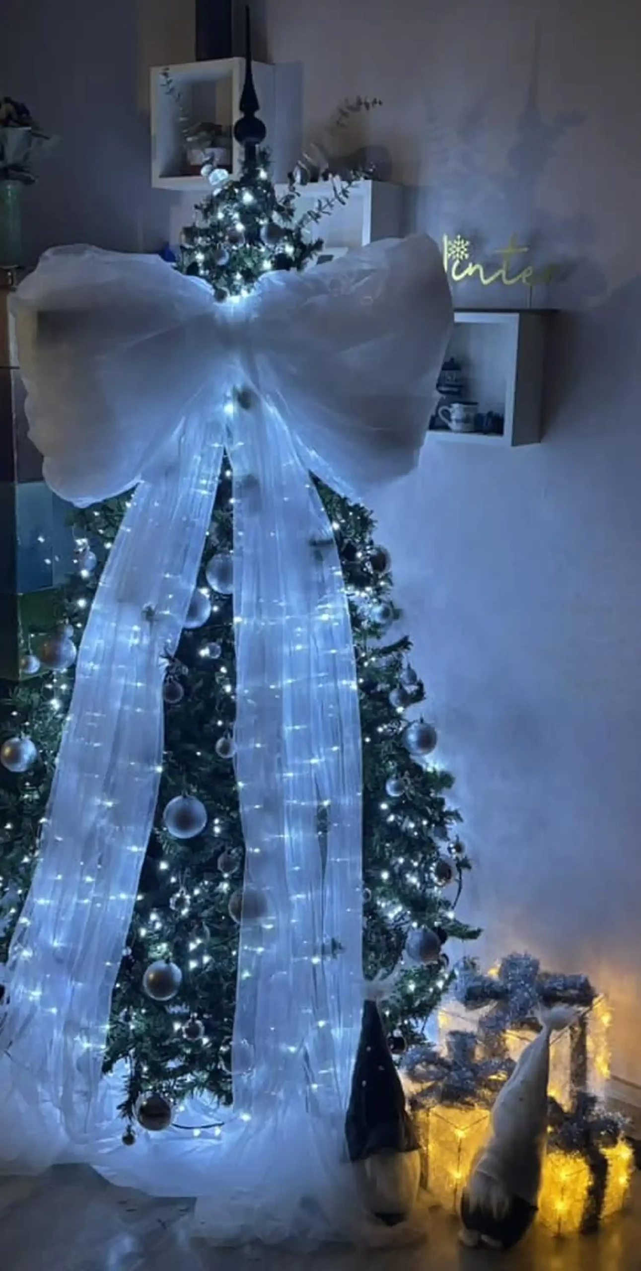 Božićna drvca i jelke 2024 foto čitatelja (38)