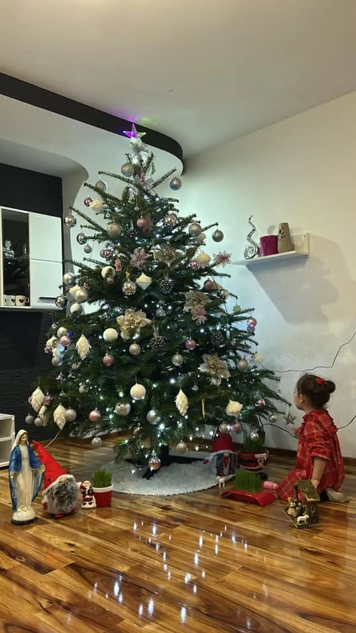 Božićna drvca i jelke 2024 foto čitatelja (39)