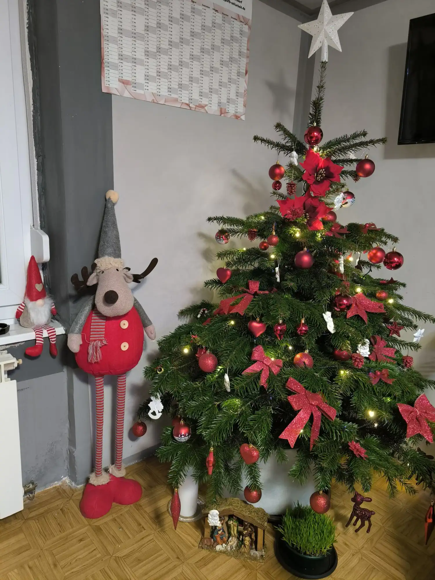 Božićna drvca i jelke 2024 foto čitatelja (43)