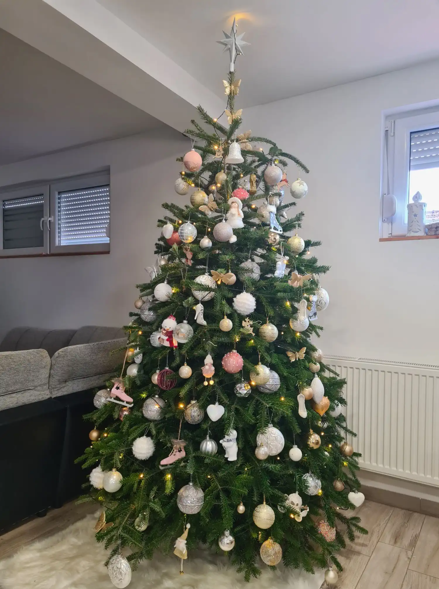 Božićna drvca i jelke 2024 foto čitatelja (47)