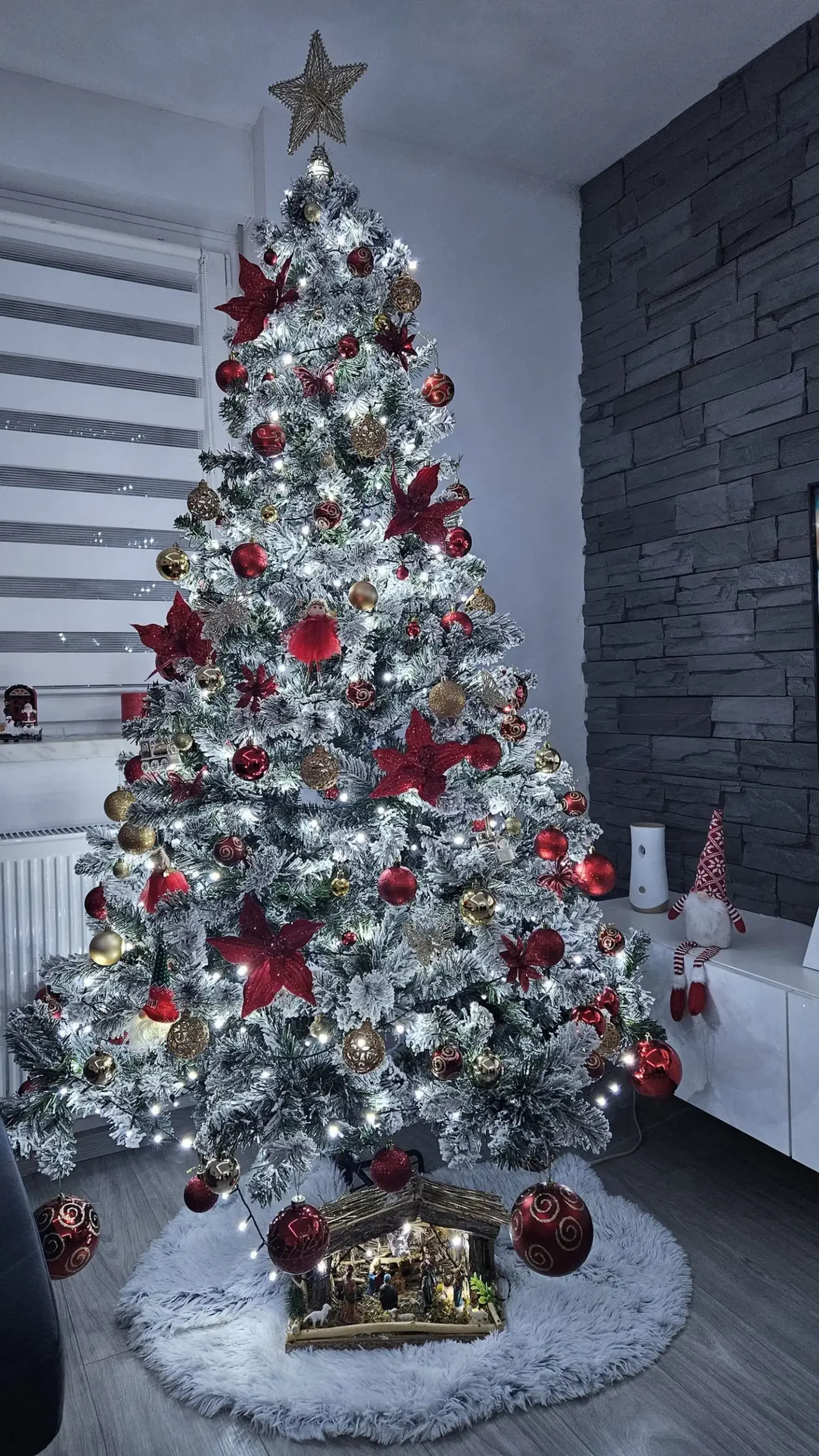 Božićna drvca i jelke 2024 foto čitatelja (48)