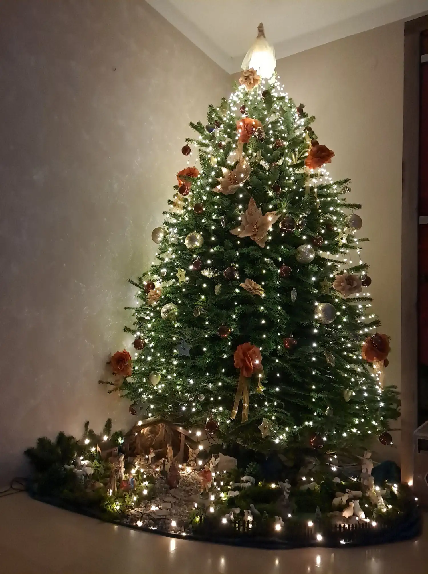 Božićna drvca i jelke 2024 foto čitatelja (49)