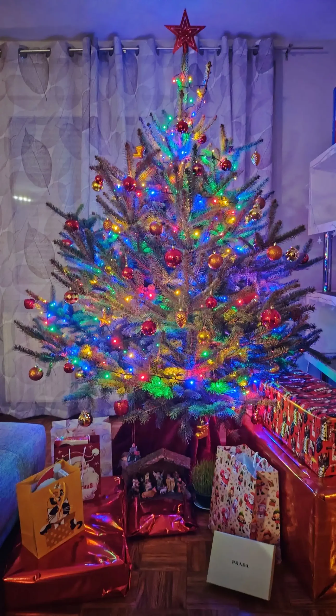 Božićna drvca i jelke 2024 foto čitatelja (50)