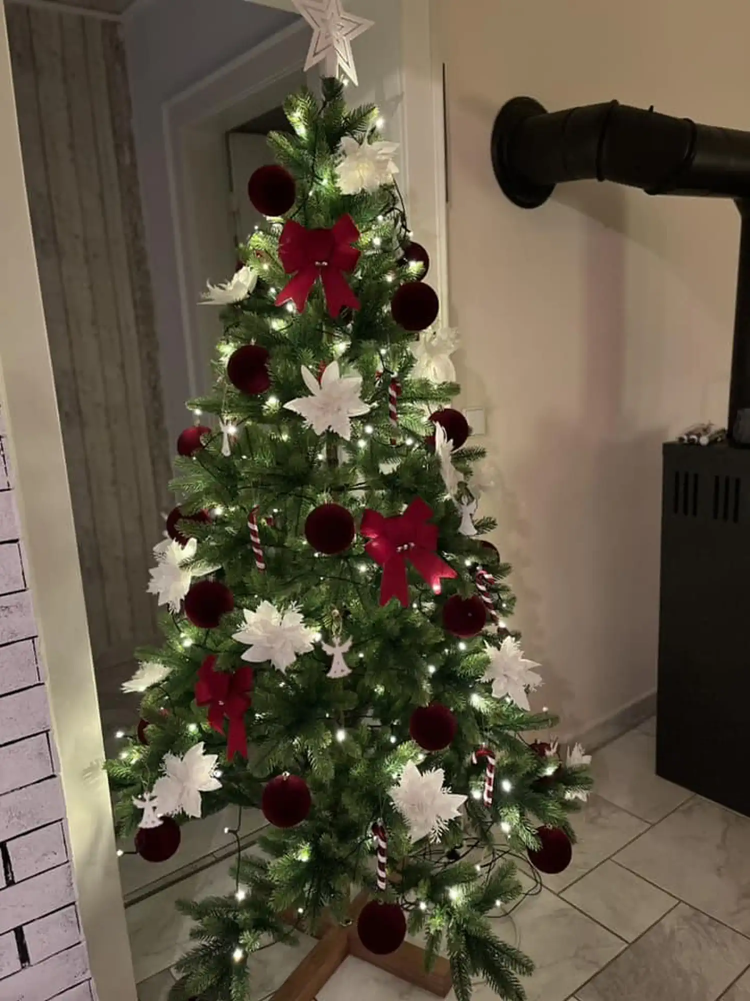 Božićna drvca i jelke 2024 foto čitatelja (54)