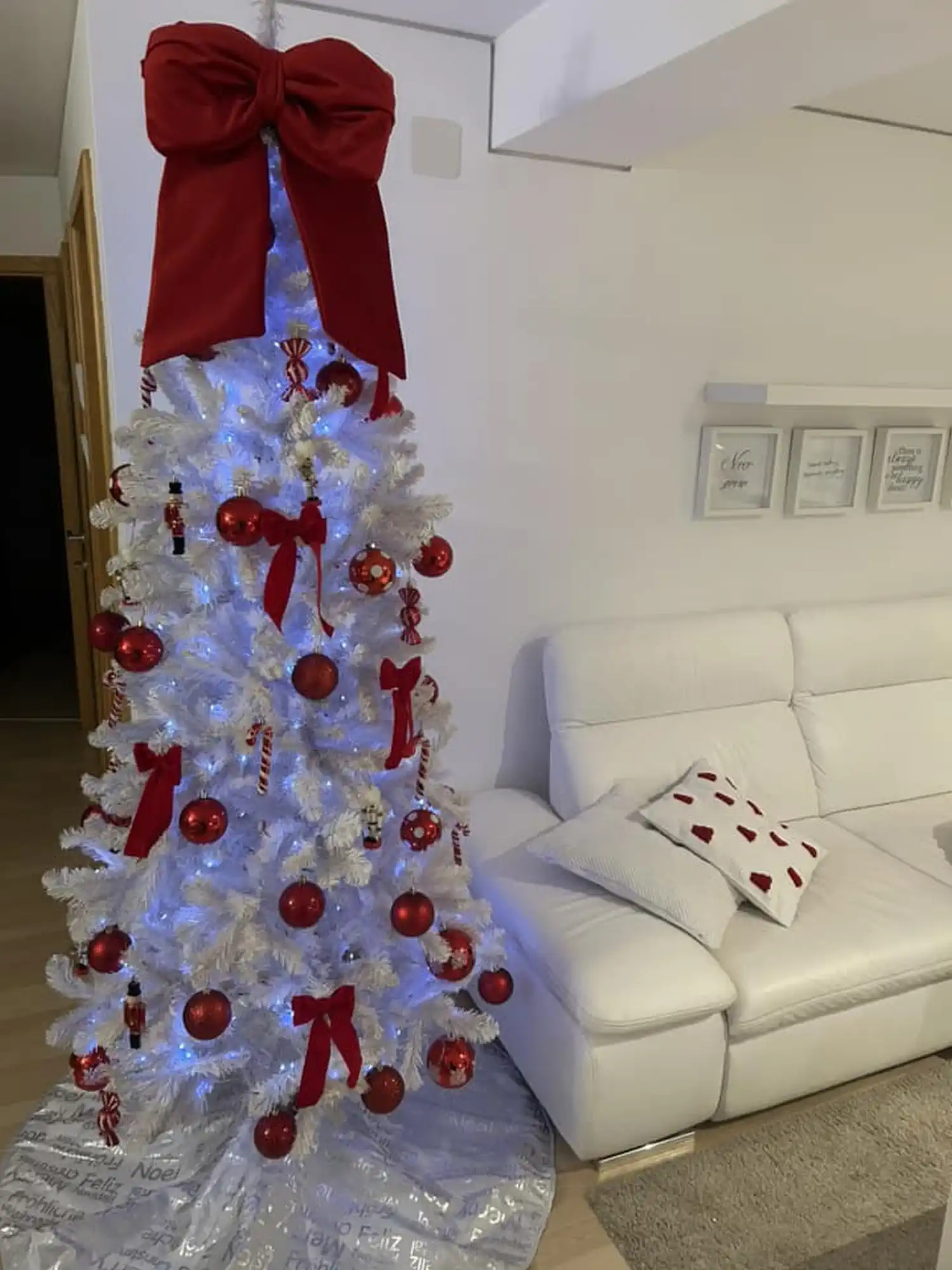 Božićna drvca i jelke 2024 foto čitatelja (56)