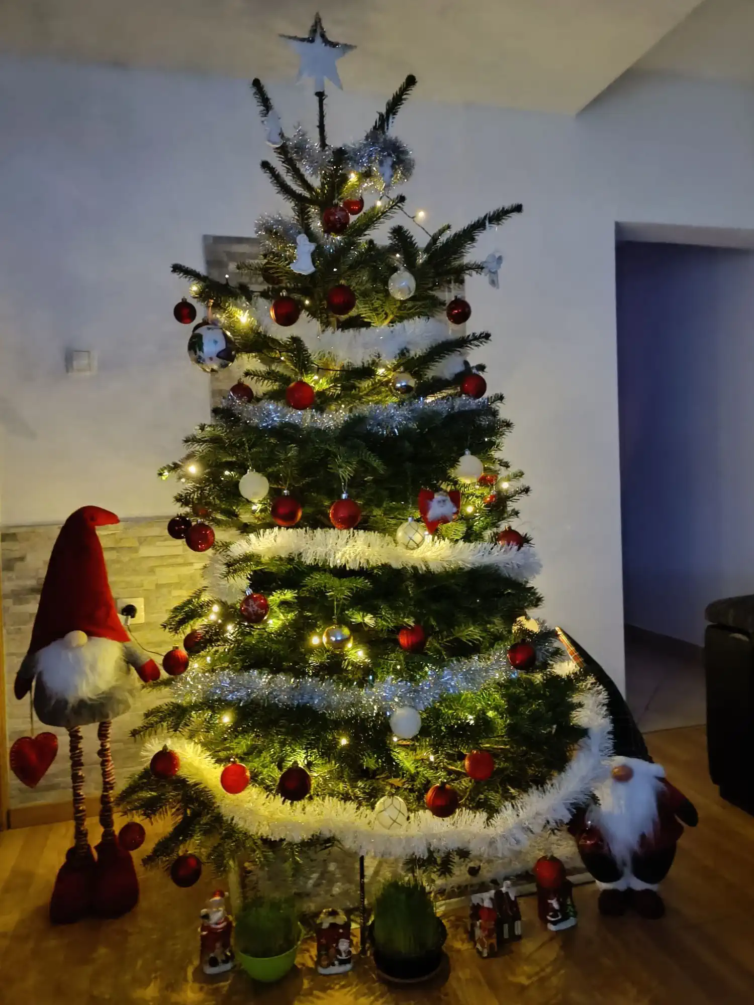 Božićna drvca i jelke 2024 foto čitatelja (57)