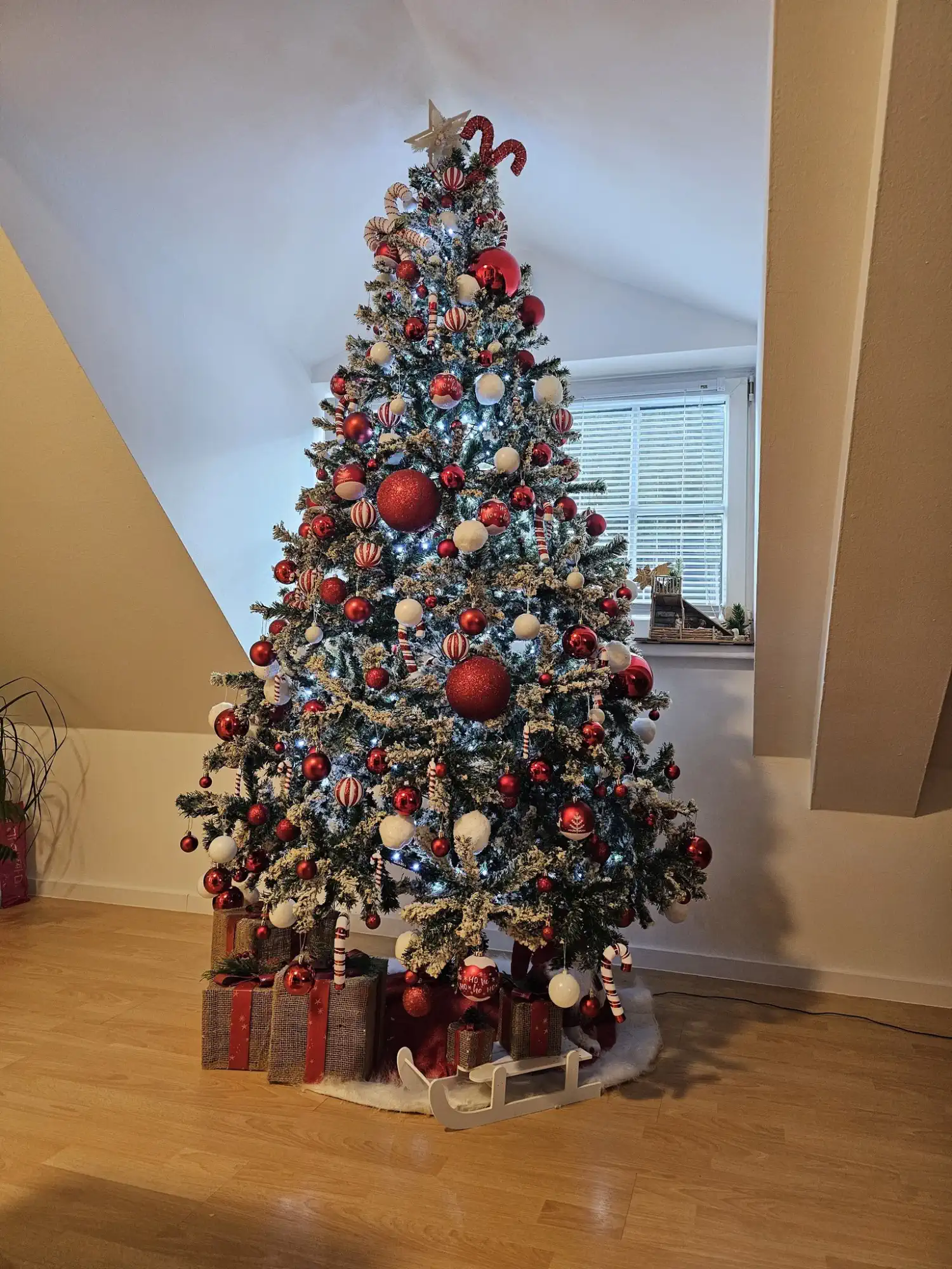 Božićna drvca i jelke 2024 foto čitatelja (62)