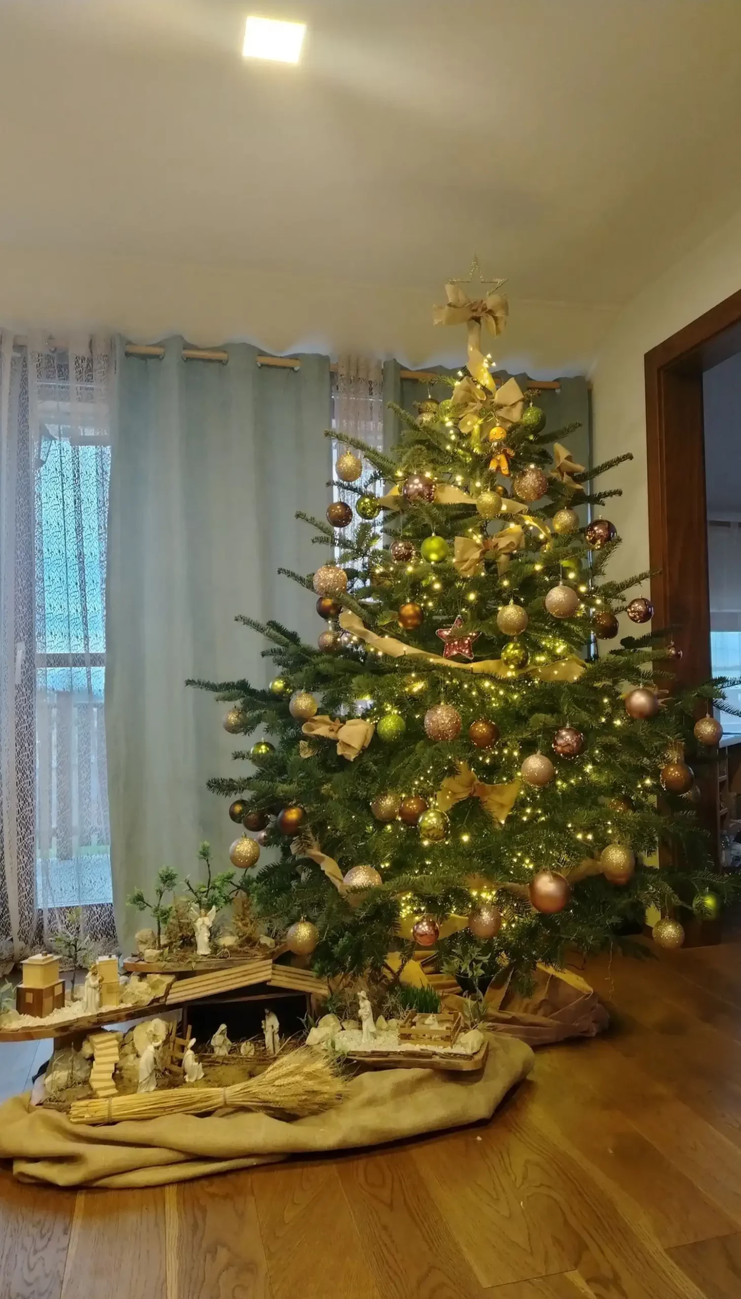 Božićna drvca i jelke 2024 foto čitatelja (64)