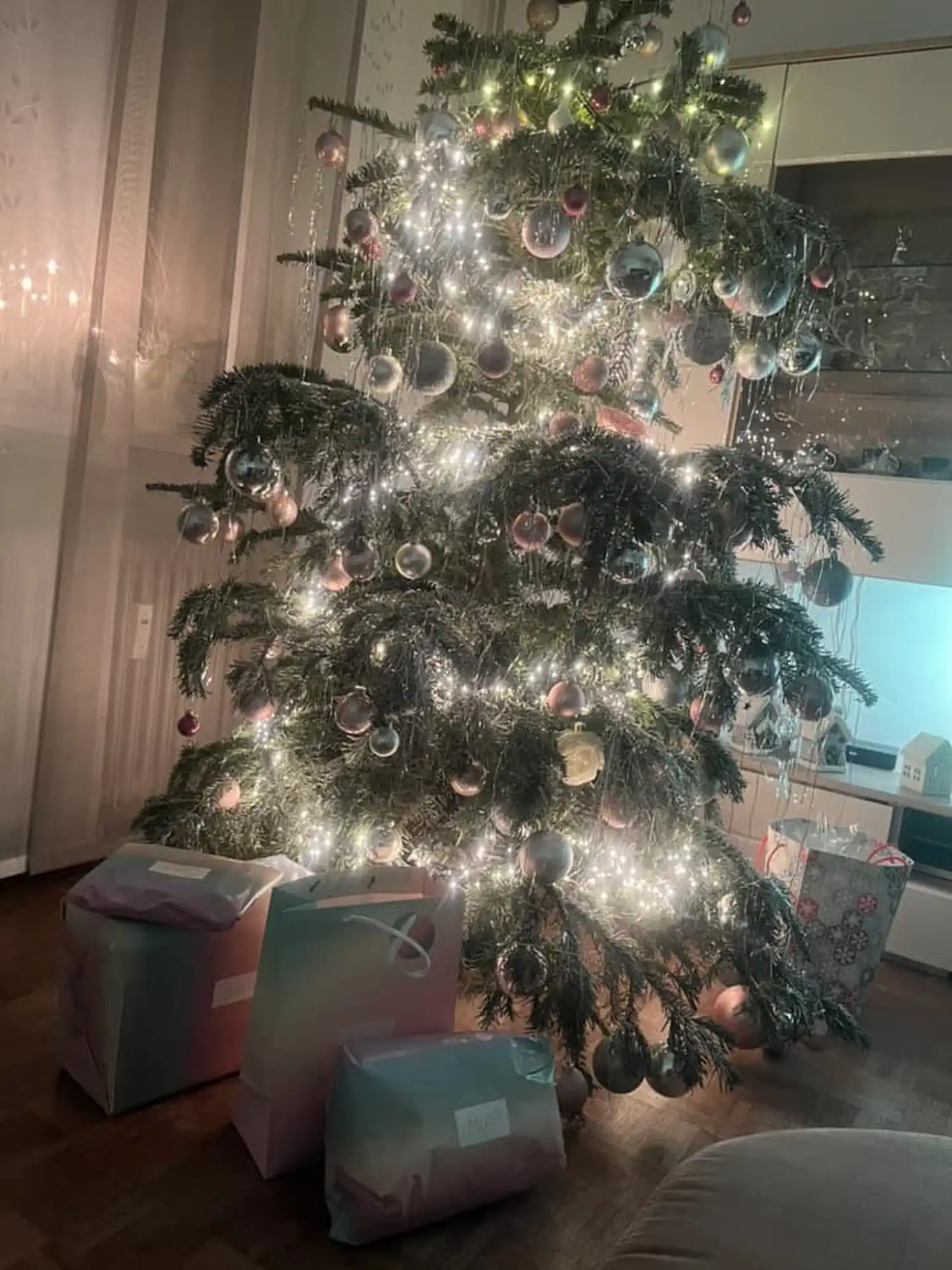 Božićna drvca i jelke 2024 foto čitatelja (65)