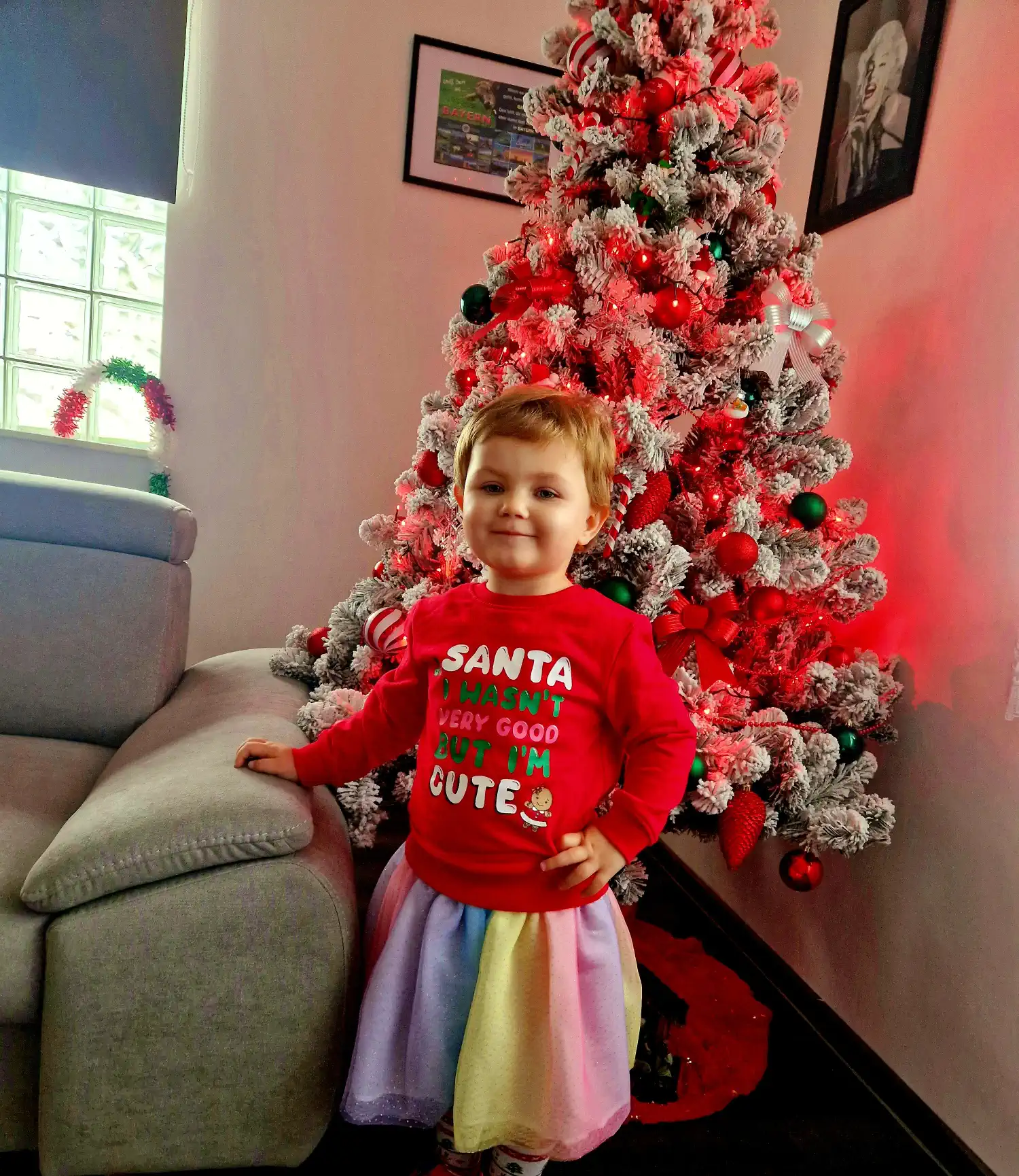 Božićna drvca i jelke 2024 foto čitatelja (69)