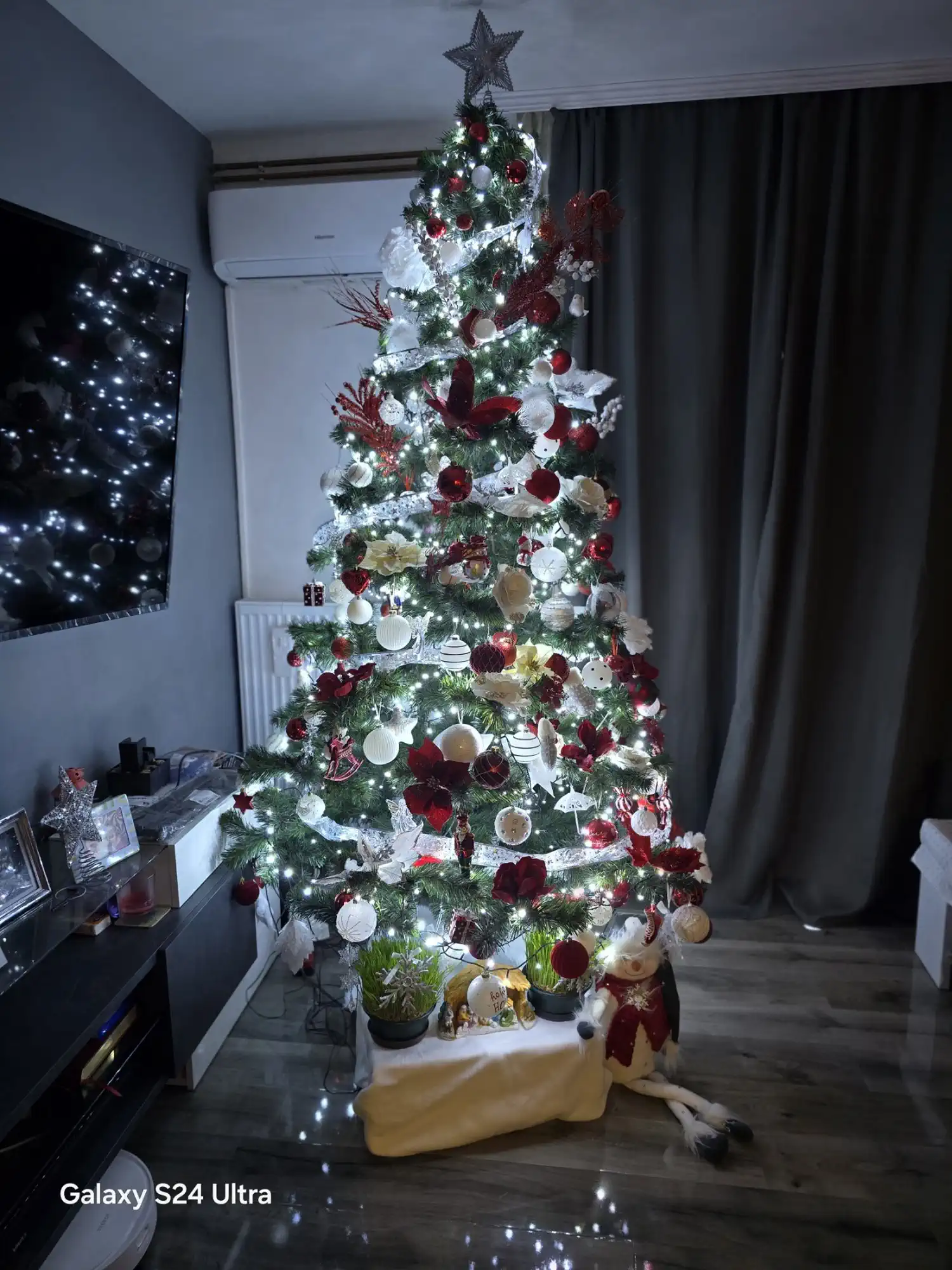 Božićna drvca i jelke 2024 foto čitatelja (72)