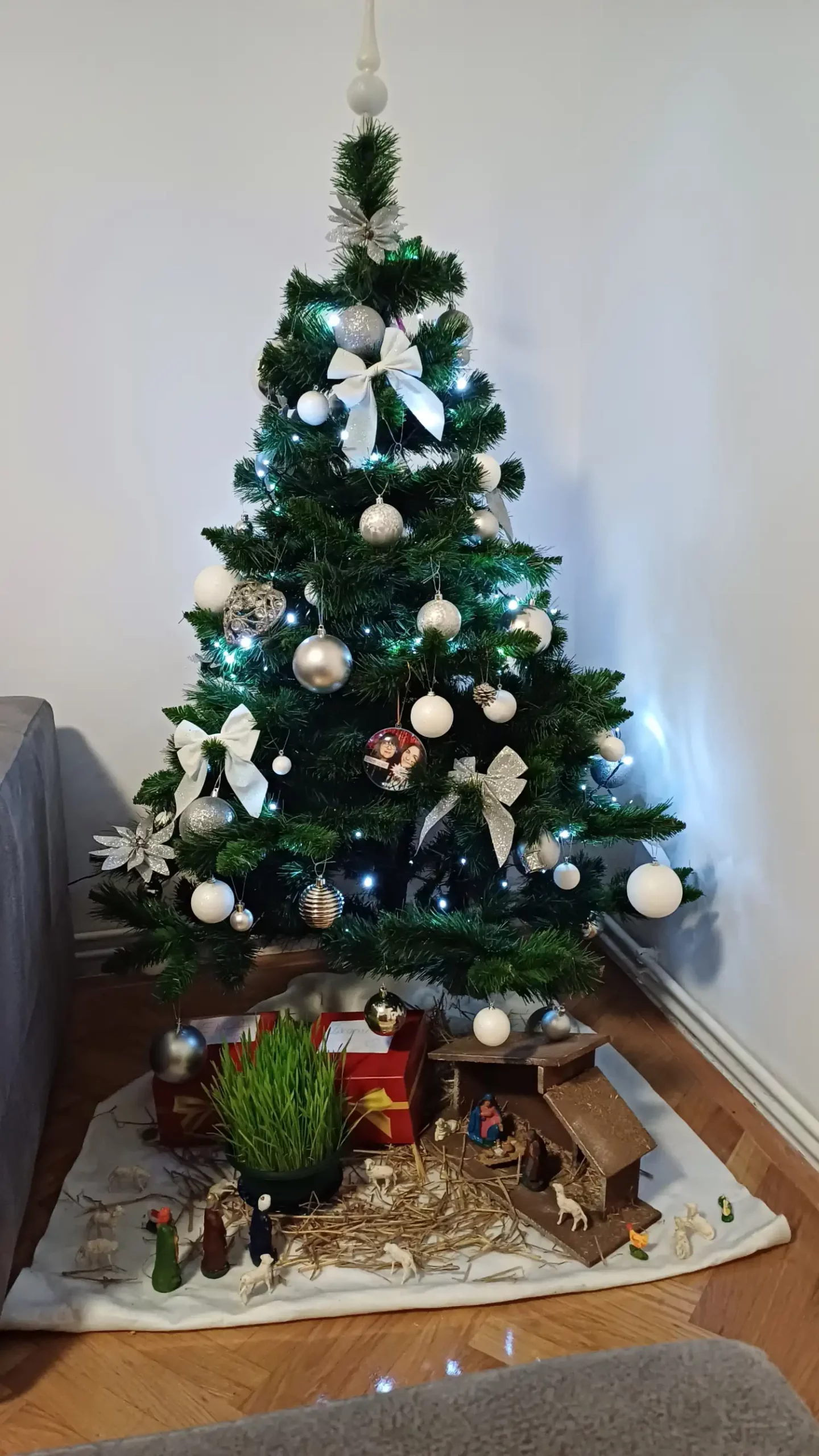 Božićna drvca i jelke 2024 foto čitatelja (74)