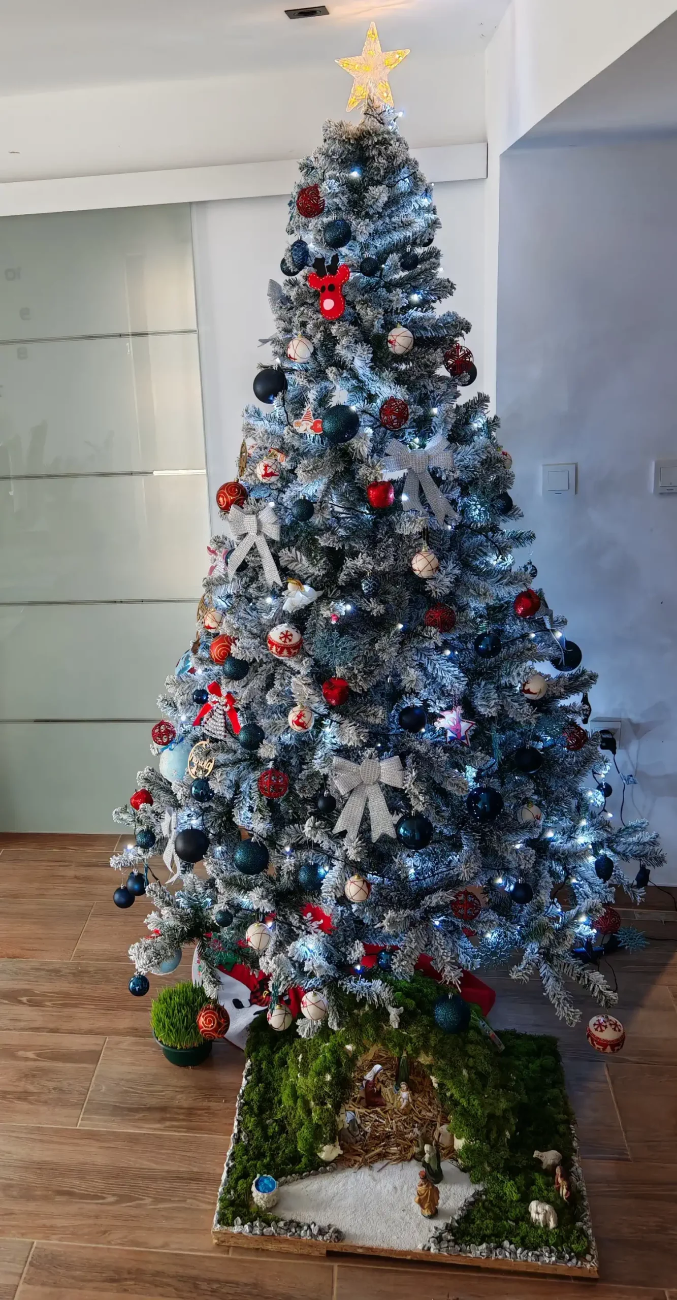 Božićna drvca i jelke 2024 foto čitatelja (78)