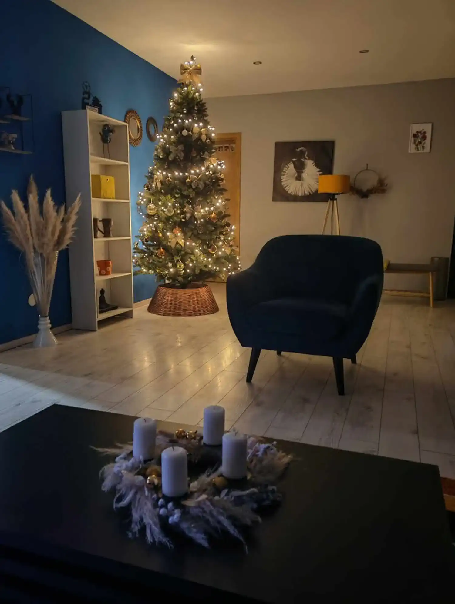 Božićna drvca i jelke 2024 foto čitatelja (81)