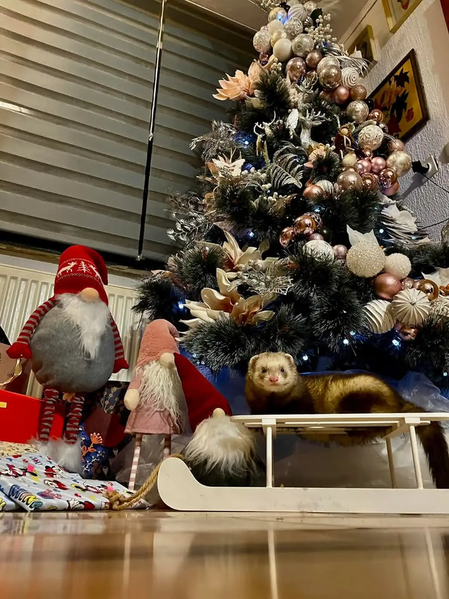 Božićna drvca i jelke 2024 foto čitatelja (83)