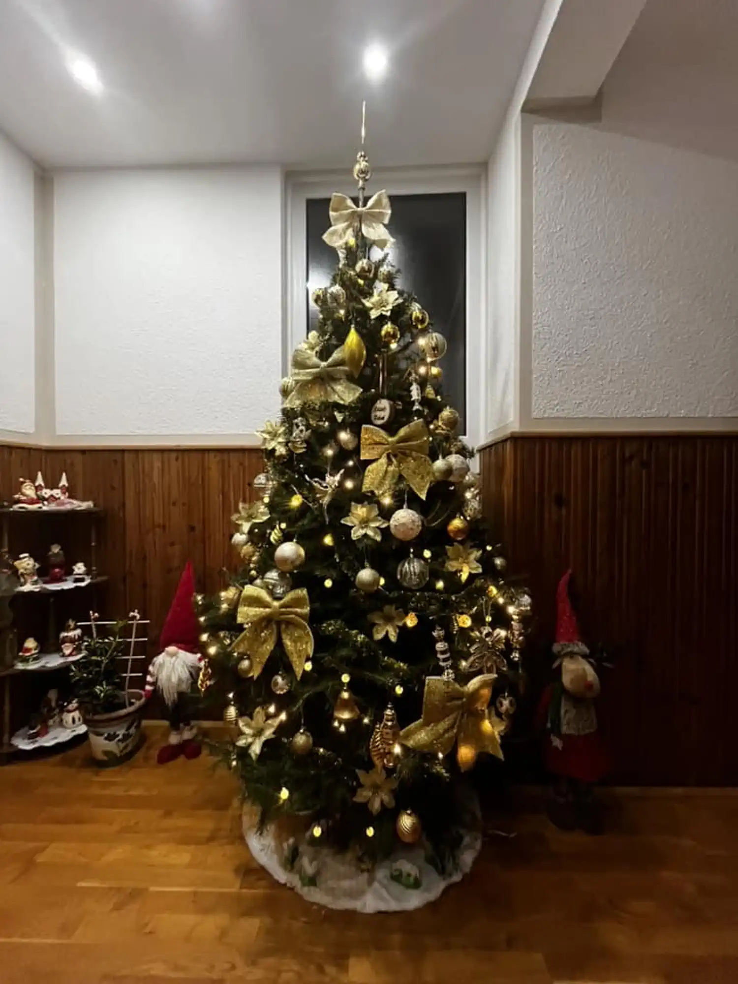 Božićna drvca i jelke 2024 foto čitatelja (91)