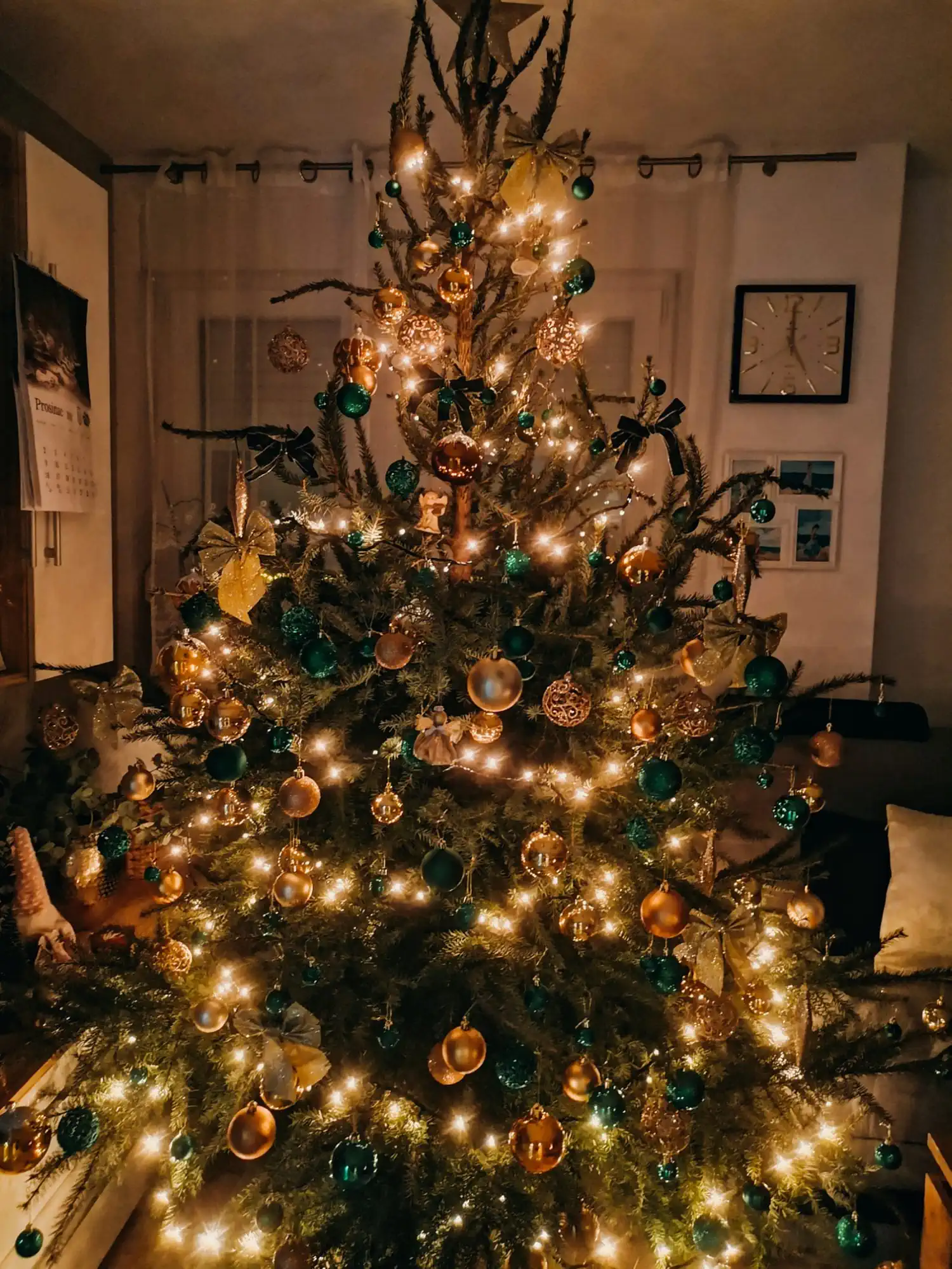 Božićna drvca i jelke 2024 foto čitatelja (92)