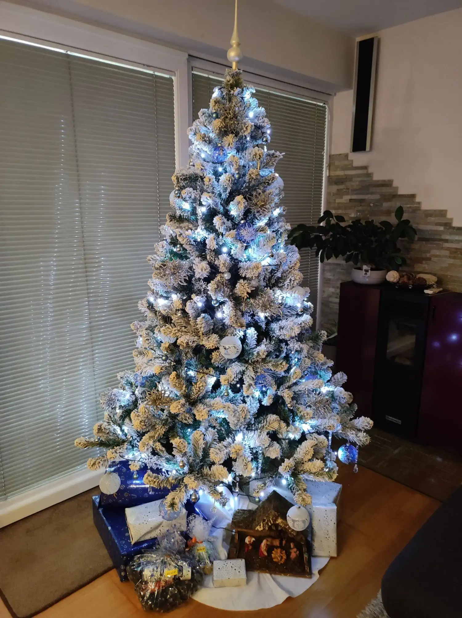 Božićna drvca i jelke 2024 foto čitatelja (93)