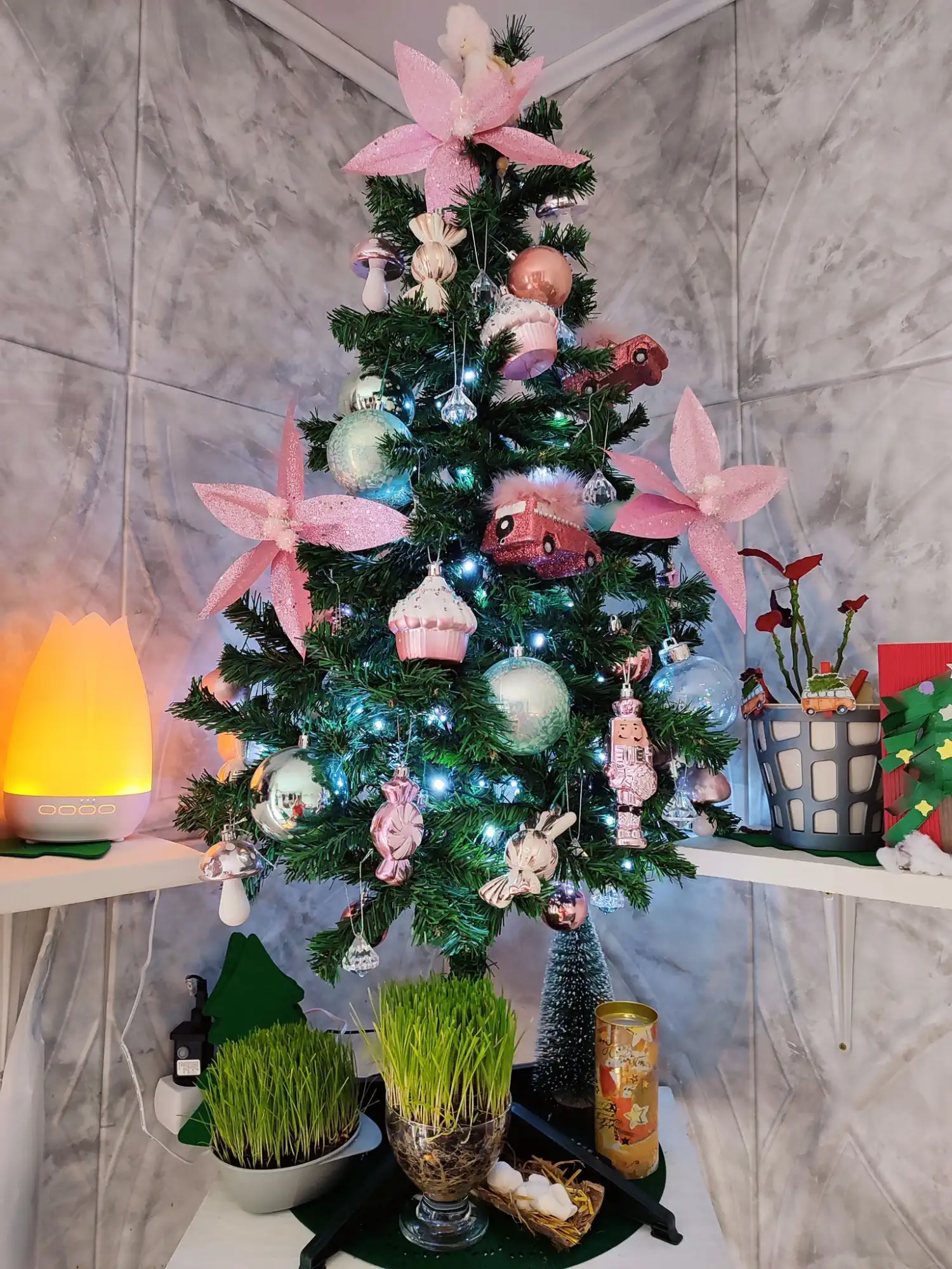 Božićna drvca i jelke 2024 foto čitatelja (94)