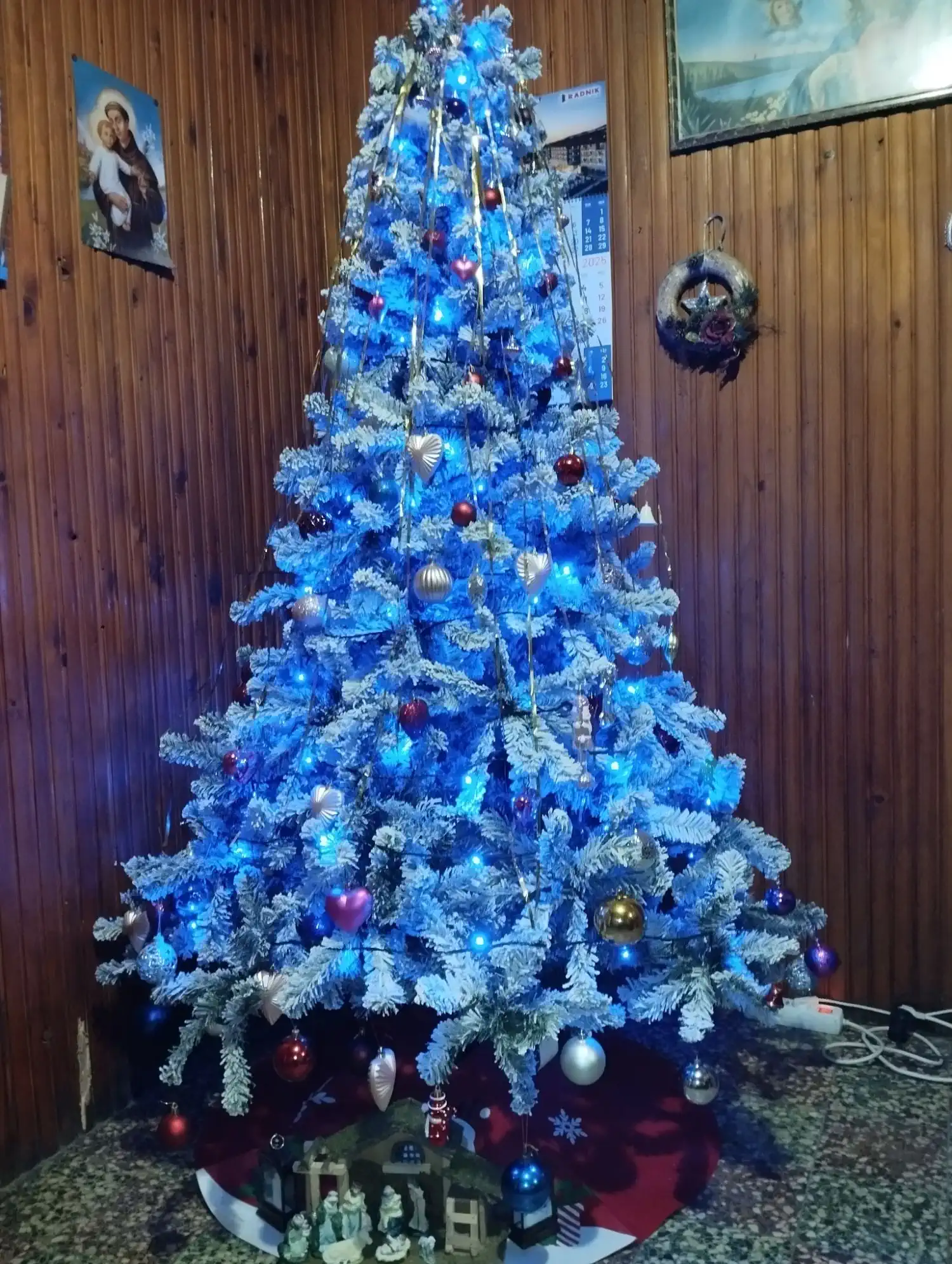 Božićna drvca i jelke 2024 foto čitatelja (96)