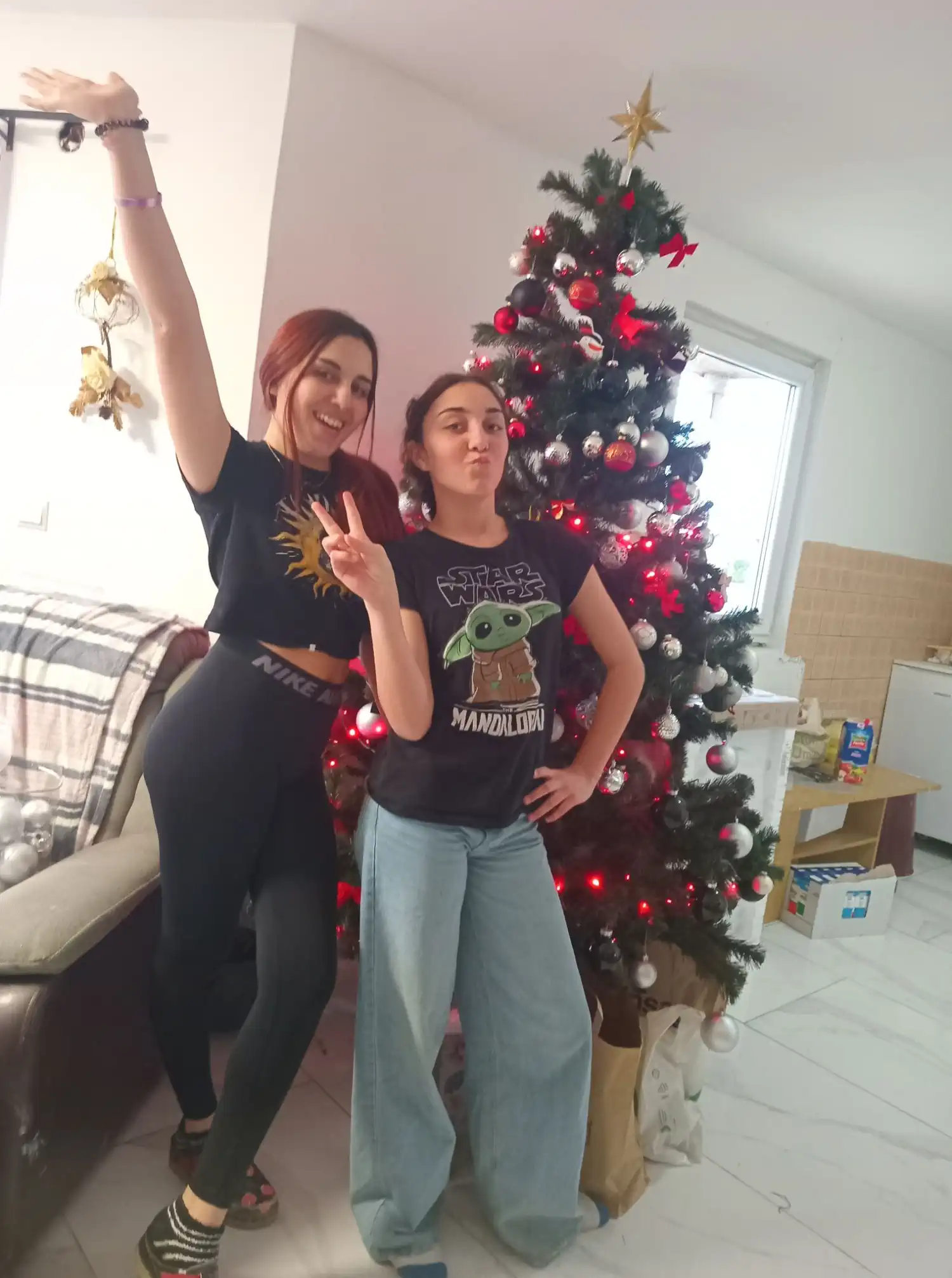 Božićna drvca i jelke 2024 foto čitatelja (97)