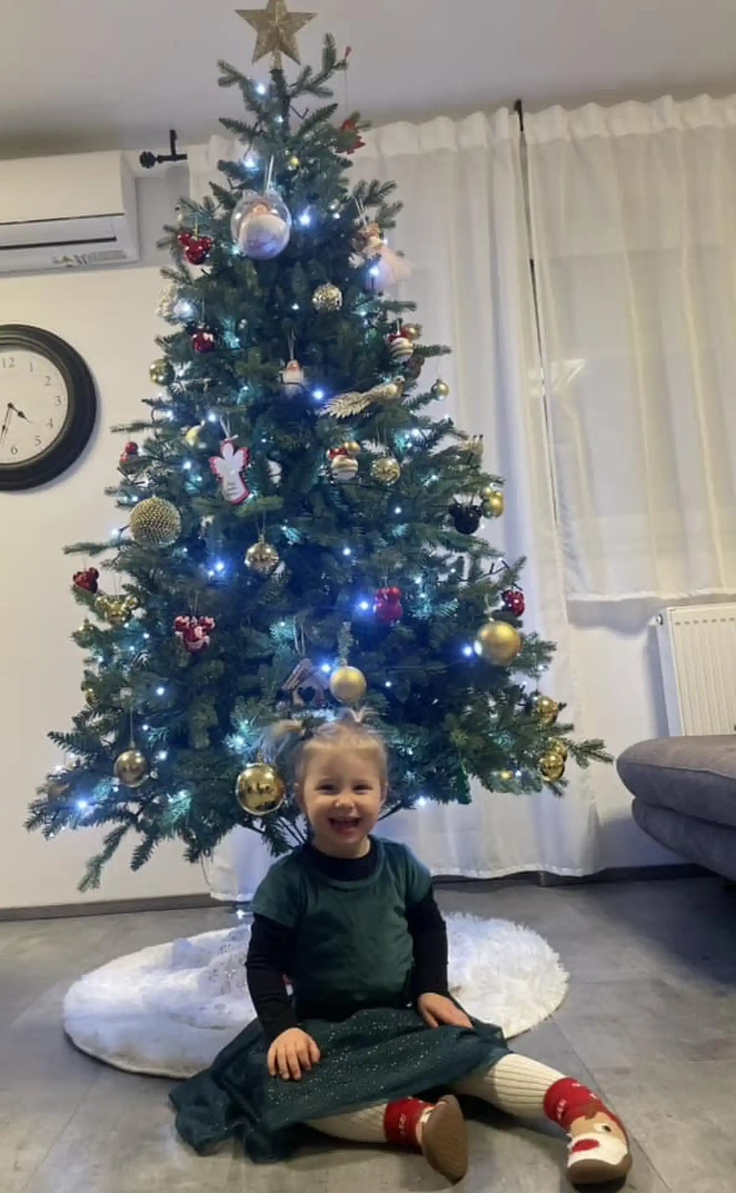 Božićna drvca i jelke 2024 foto čitatelja (99)