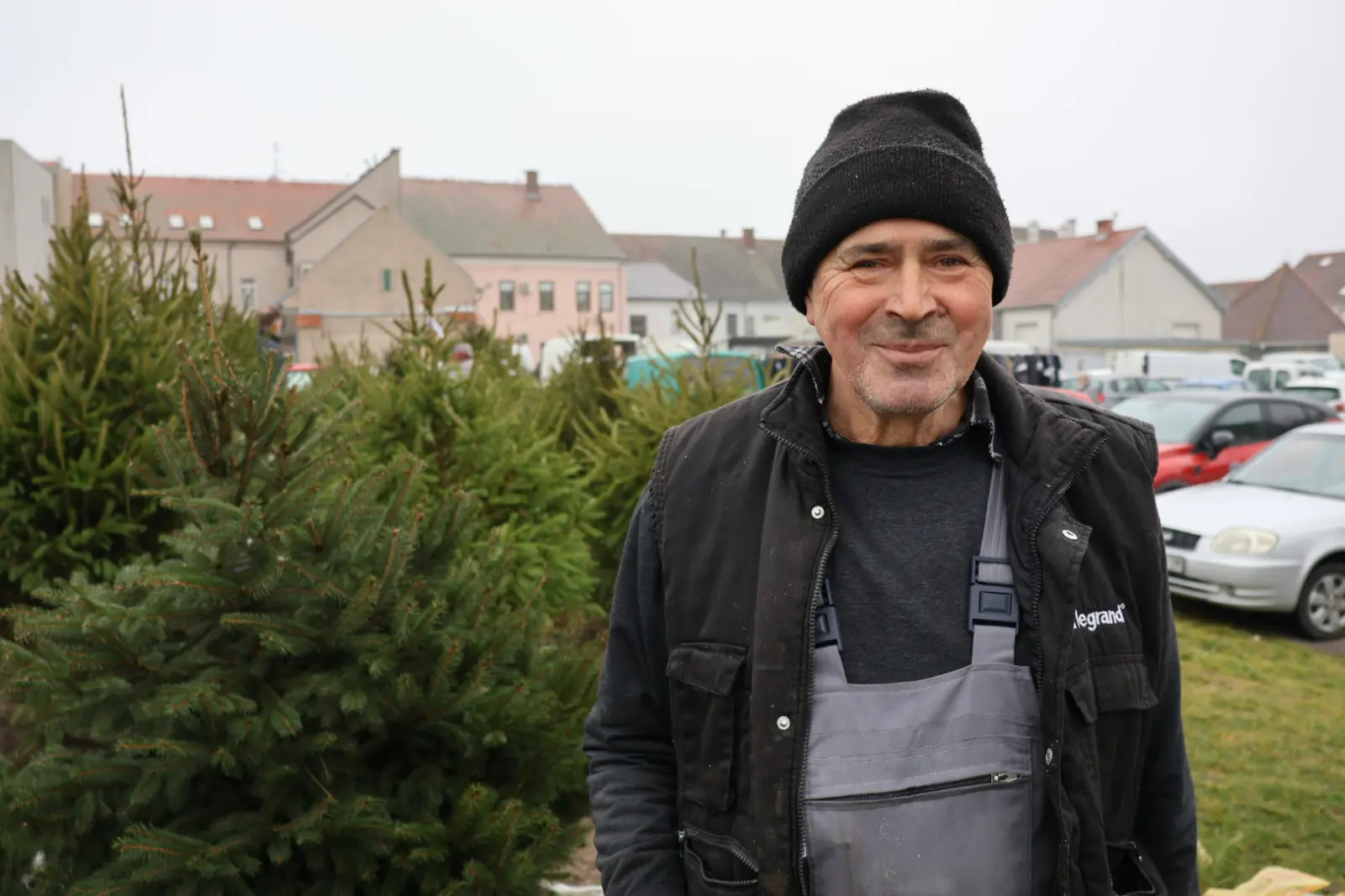 Božićna jelka, Donji Mihaljevec, Antun Varga, nordijska jela, božić, božićno drvce (2)