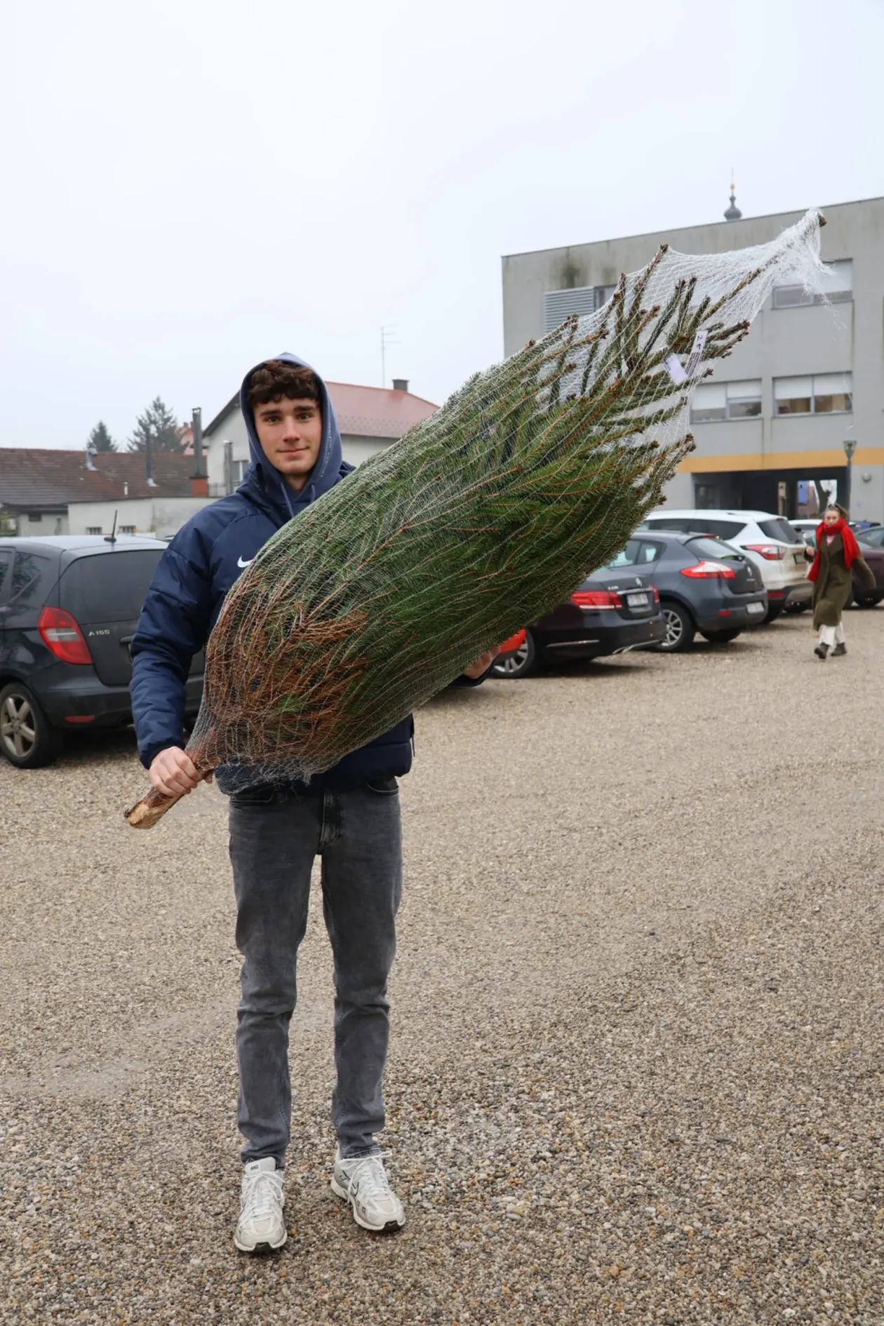 Božićna jelka, Donji Mihaljevec, Antun Varga, nordijska jela, božić, božićno drvce (5)