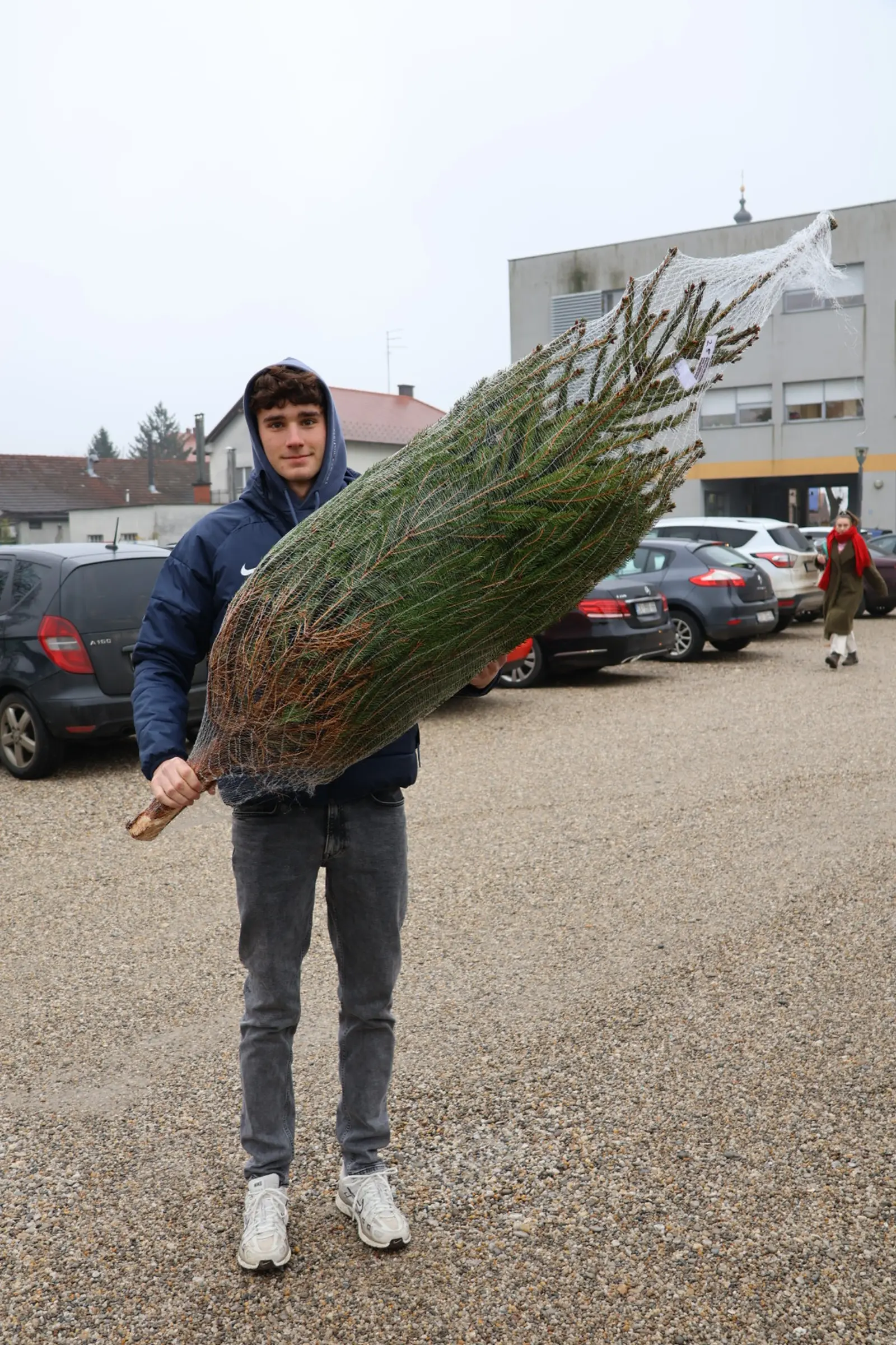 Božićna jelka, Donji Mihaljevec, Antun Varga, nordijska jela, božić, božićno drvce (5)