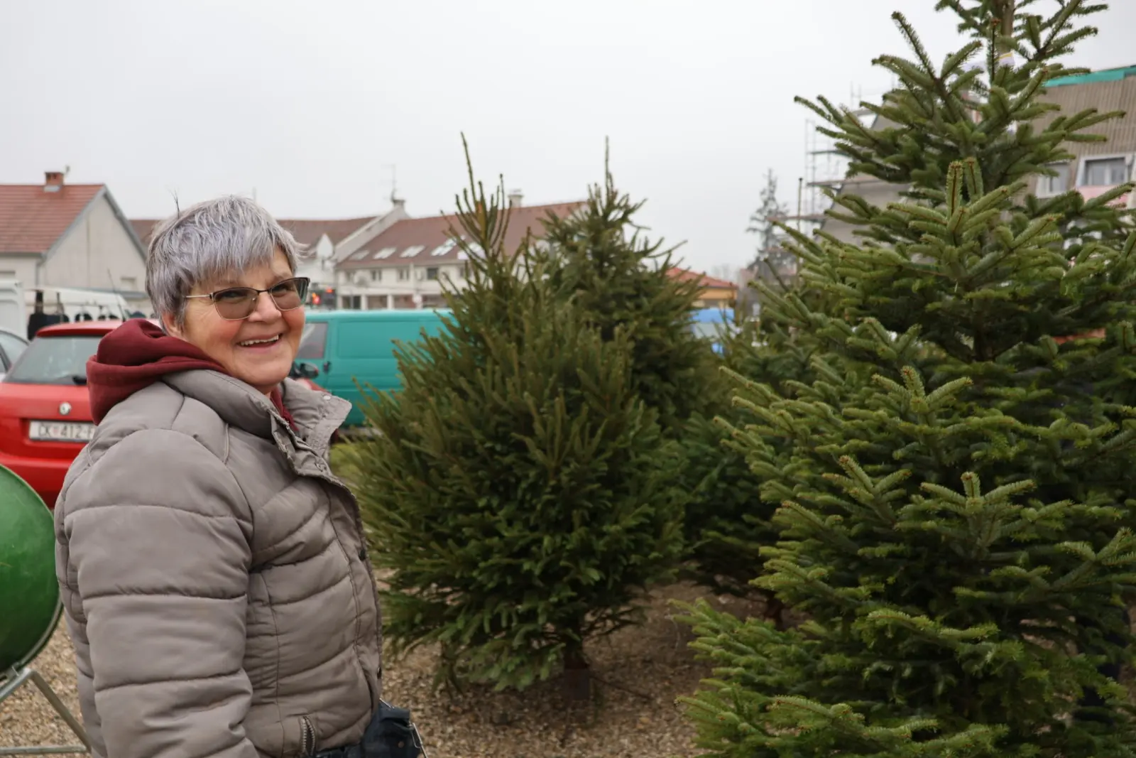 Božićna jelka, Donji Mihaljevec, Antun Varga, nordijska jela, božić, božićno drvce (6)