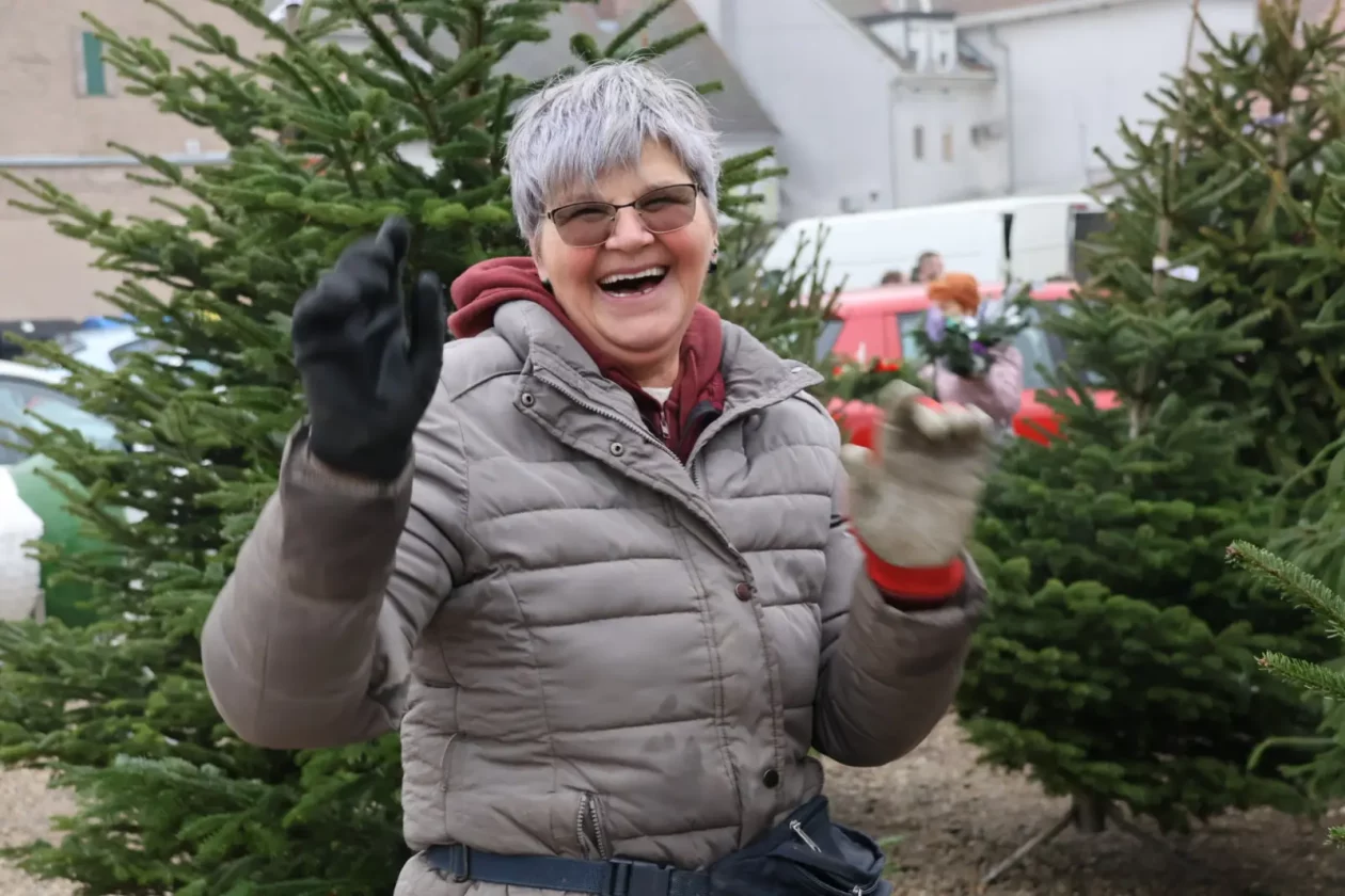 Božićna jelka, Donji Mihaljevec, Antun Varga, nordijska jela, božić, božićno drvce (8)