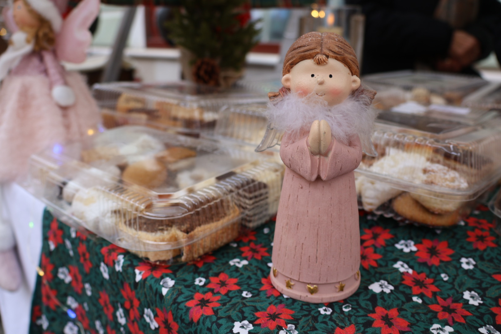 Božićni protvan Čakovec (20)