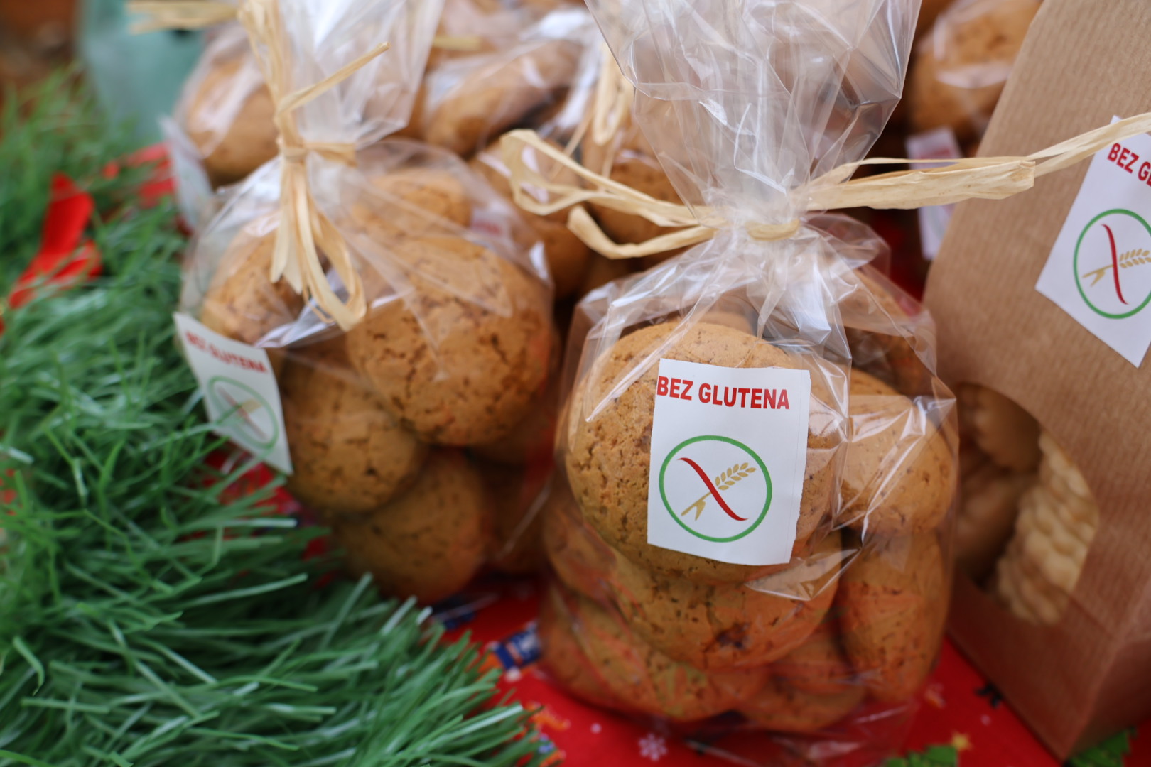 Božićni protvan Čakovec (53)