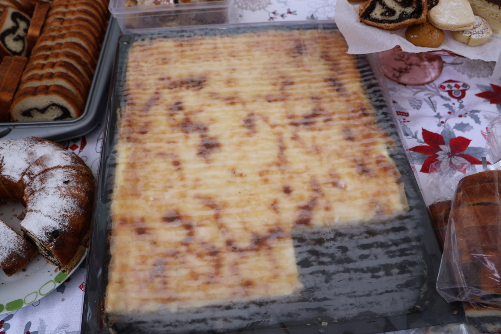 Božićni protvan Čakovec (8)