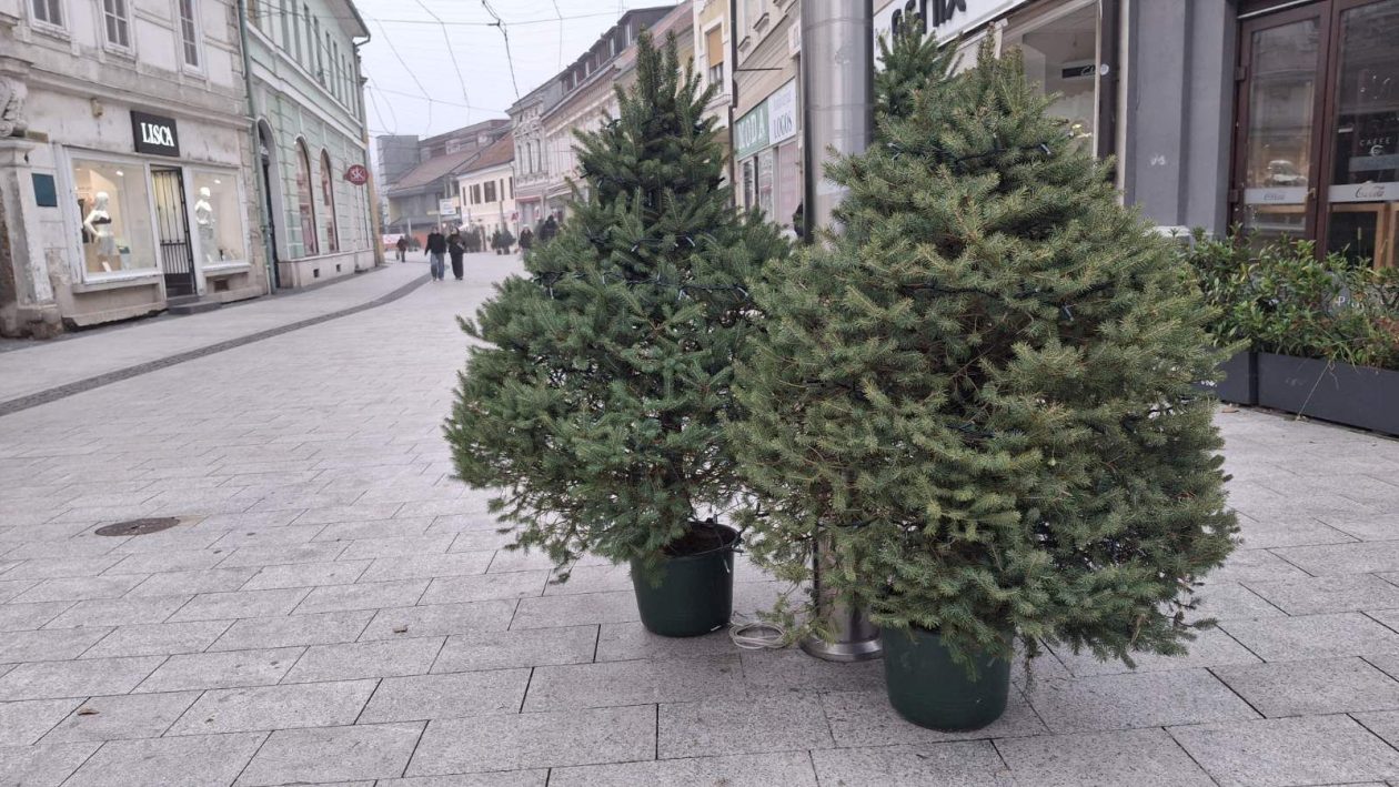 Božićni ukrasi u centru Čakovca (2)