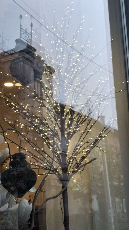 Božićni ukrasi u centru Čakovca (3)