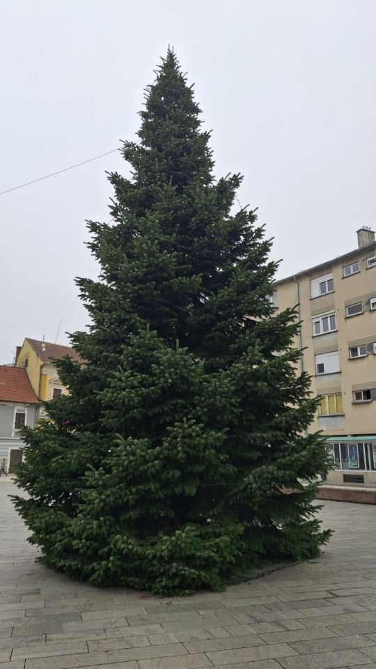 Božićni ukrasi u centru Čakovca (7)