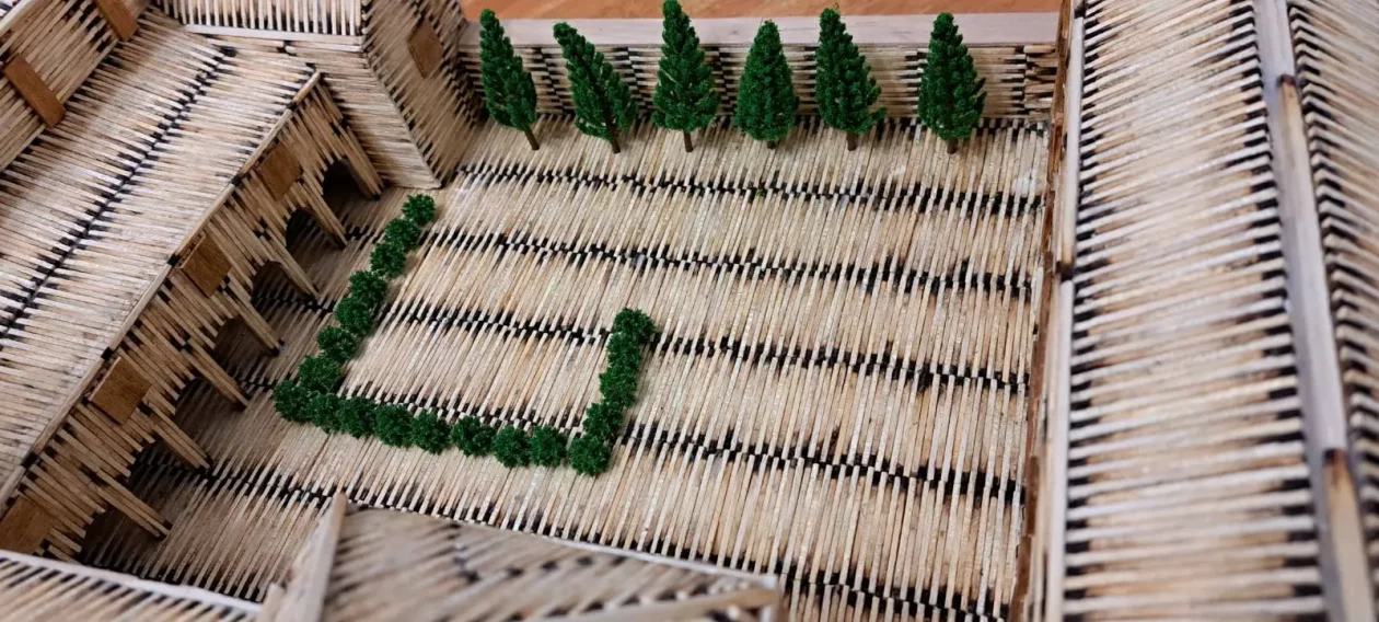 Branko Lovrinović Donja Dubrava šibice (22)