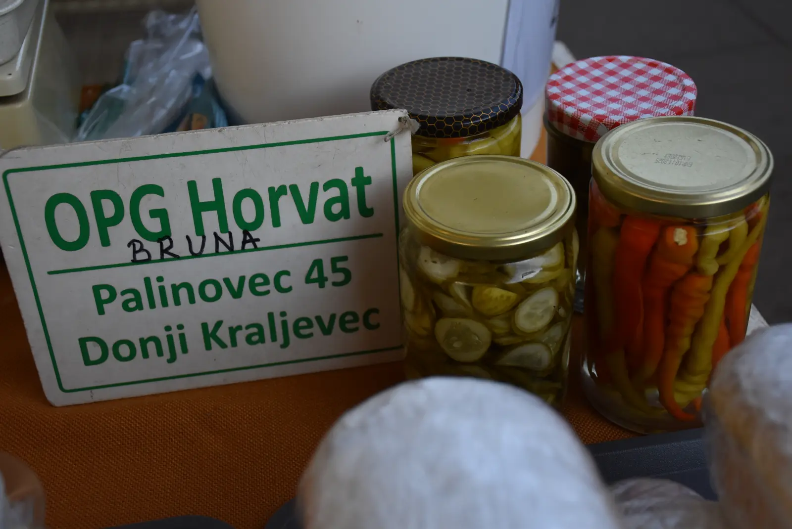 Bruna Horvat Palinovec (3)