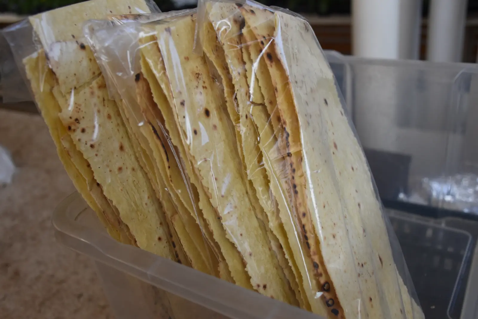 Bruna Horvat Palinovec (8)