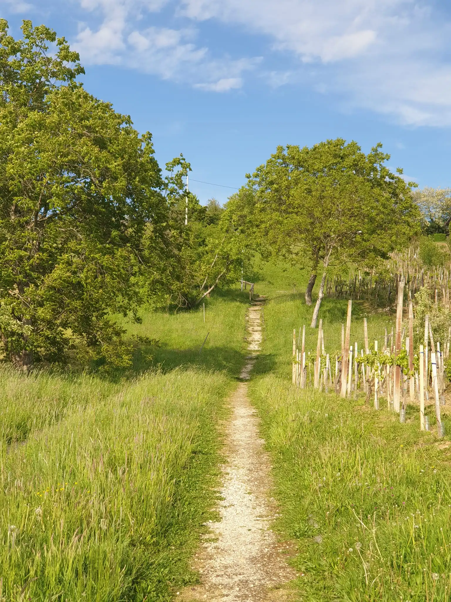 Bundek – planinarski izlet (13) Bundek – planinarski izlet (13)