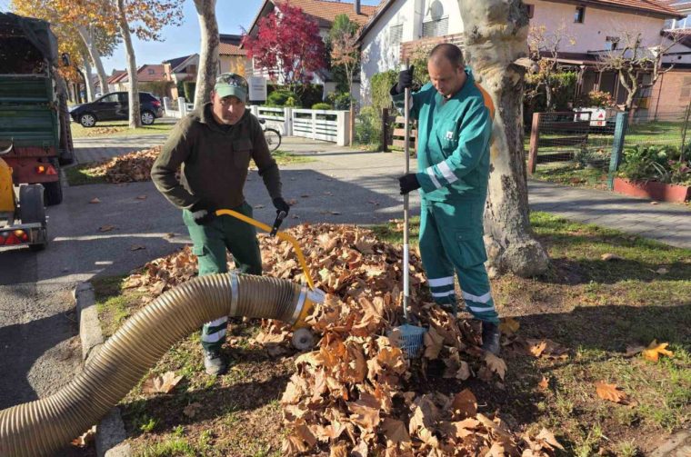 ČAKOM čišćenje lišća (2)