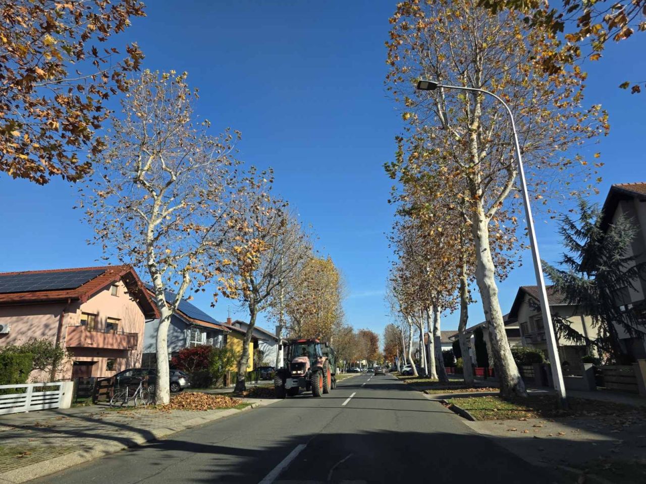 ČAKOM čišćenje lišća (4)