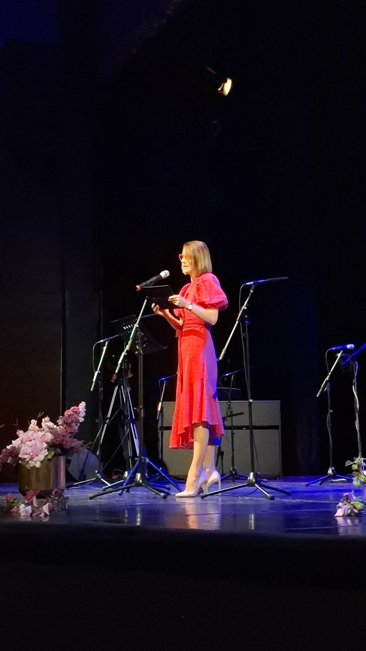 ČAKOVEC Evergreeni za Katružu (2)