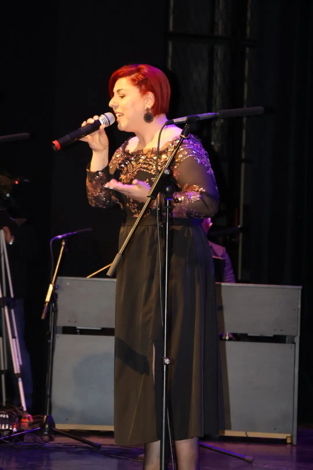 ČAKOVEC Evergreeni za Katružu (50)